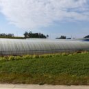 남궁농원 이미지