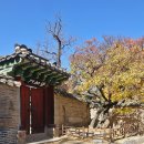 창덕궁 - 2025.11.15 이미지