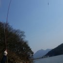 송악 낚시터 이미지