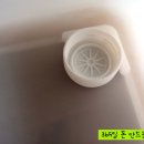 식탁위의텃밭 이미지