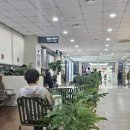 D.C１０００ | 35세 대장암3기B 림프절전이 암환자의 폴폭스항암제 4차 투여 후기, 말초신경계 부작용, 항암식단