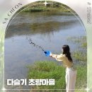 시고르스테이 이미지