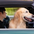 헬리오동물병원 이미지