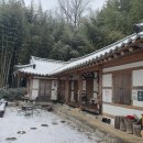 다도 숲으로 민박 이미지