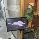 스시�� | 아주대맛집 가츠스시 솔직후기