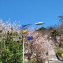 무학어린이공원 이미지