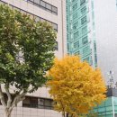 서울 청담 맛집: 성시경 먹을텐데 식객 허영만 우정 우개장 내돈내산 솔직 후기