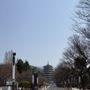 형네 PC방 | [혼자 경주월드] 3월 목요일 눈치게임 대성공 / 롤러코스터 상세 후기