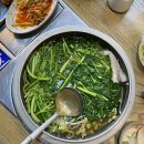 사계절복집 | 목동 가성비 좋은 복어요리, 승아복집 (C코스, 가오리찜, 복탕수어 후기)