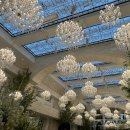 상담주차장 | [인천 밝은 웨딩홀]CN웨딩홀 계산점 베르테홀 투어 상담 26년 하반기 계약O 후기(주차장,뷔페)