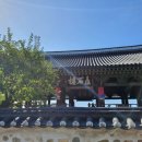 진주공설운동장 | 진주] 경남 가을축제, 진주 남강 유등 축제 아이랑 다녀온 후기 (무료셔틀버스 · 부교 · 먹거리...