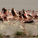 세븐일레븐 앞 이미지