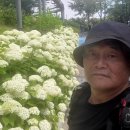 버스타고 놀아가면서 ~울산 장생포 이미지