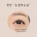 천안 속눈썹펌 블랙틴트로 또렸하게 &#34;눈썹하는날&#34; 후기