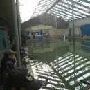 경춘낚시터 이미지