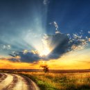 노을들녘 이미지