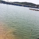 홍길동낚시터 이미지