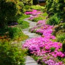 카사벨라 이미지