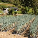 한적2길 이미지