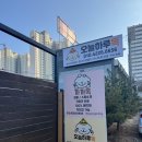 까까독(아산애견미용실아산애견호텔) | 아산 반려견 미용 &amp; 목욕 전문 ‘까까독’ – 강아지를 위한 1:1 맞춤 케어!
