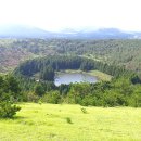 제주로와 이미지