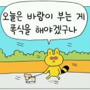 국수쟁이 이미지