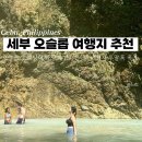 고래주유소 | 세부 3 : 오슬롭 고래상어 와칭투어 후기 및 웨이팅 시간, 투말록 폭포 가는법