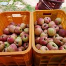 애련농장 이미지