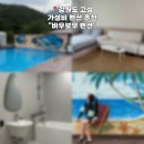 바우펜션 | 📍강원도 고성 &#34;바우보우 펜션&#34; 방문 후기 | 고성펜션추천 (금낭화 102호)