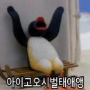개꿀 이미지