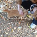 덕고개농장 이미지