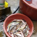 할버지민박 이미지