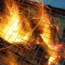 노약사네 이미지