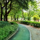 중앙체육공원 농구장 이미지