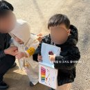 아베크뉴 | 돌전 아기 전집 추천 :: 아베크랑팡 내돈내산 후기 (당근 가격 포함)