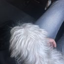 삼일이발관 | 2/8 - 2/13