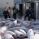 왕도매유통 이미지