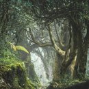 황한의원 이미지