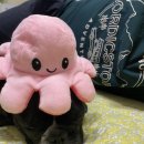 더샵 동물병원 이미지