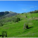 옐로우스톤 이미지