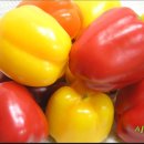 화순농장 이미지