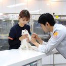 초로동물병원 이미지