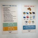 도그애견 | 쟈빠따도그 애견카페 솔직 후기ㅣ파주 애견동반 베이커리카페 탐방기