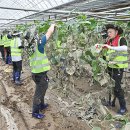 남천축사 이미지