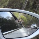 양배축산 | 서울근교 캠핑장 :: 남양주 햇살가득애견캠핑장