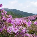 오정초교 입구 이미지