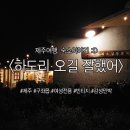 하도리 오길 잘했어 네이버블로그