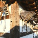 연기향토박물관 이미지