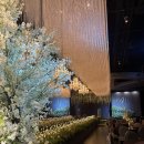 홀라우스 이미지