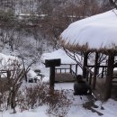 참나무쟁이카페 이미지